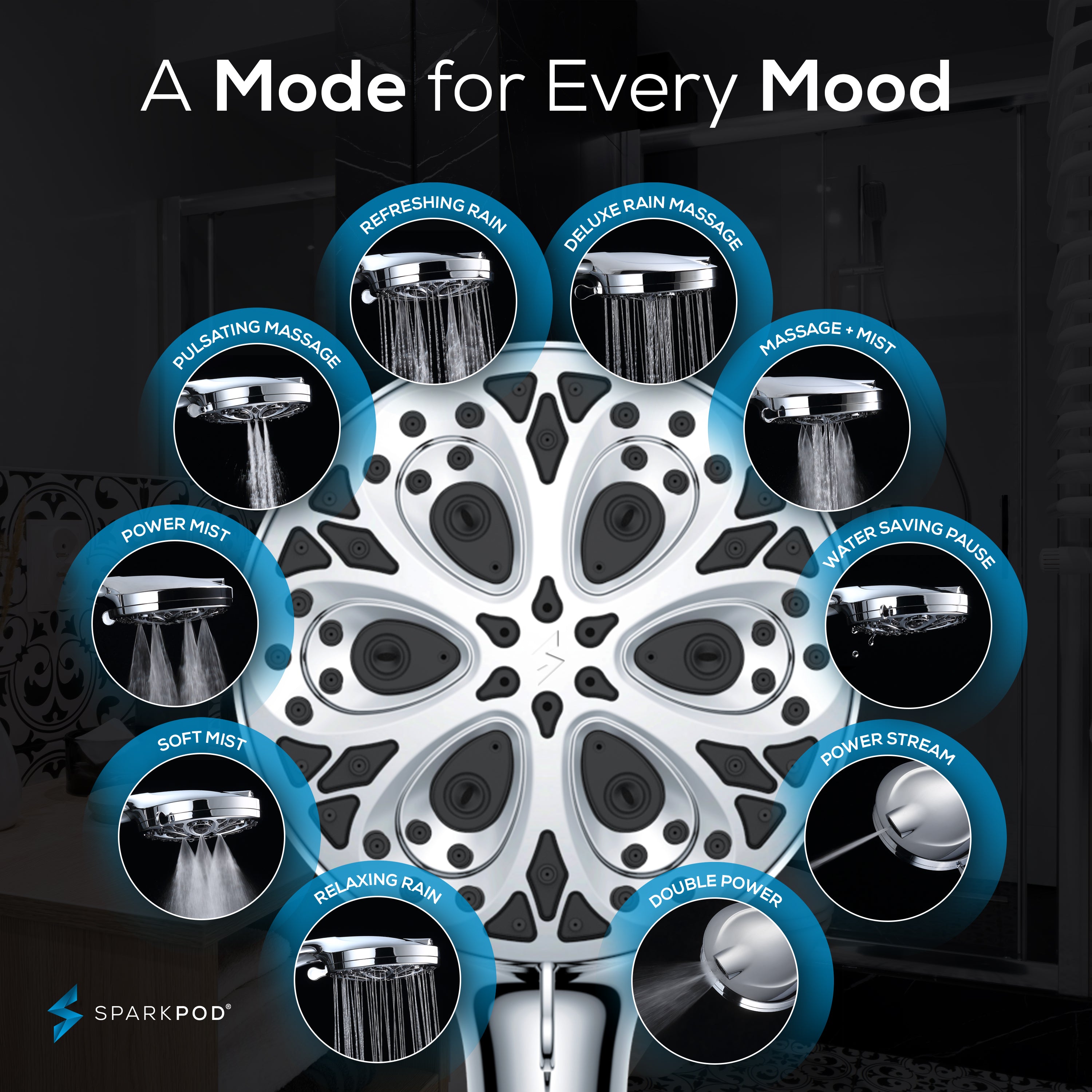 5" 10-Function Filtered Handheld Shower Head + 6' Hose